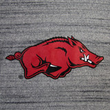 Arkansas Razorbacks